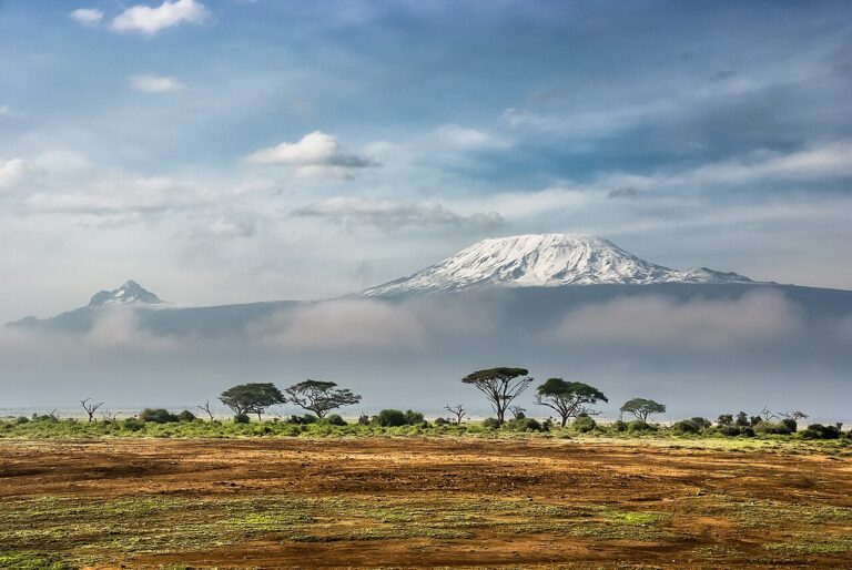 Amboseli National Park Guide: Elephants Under Kilimanjaro