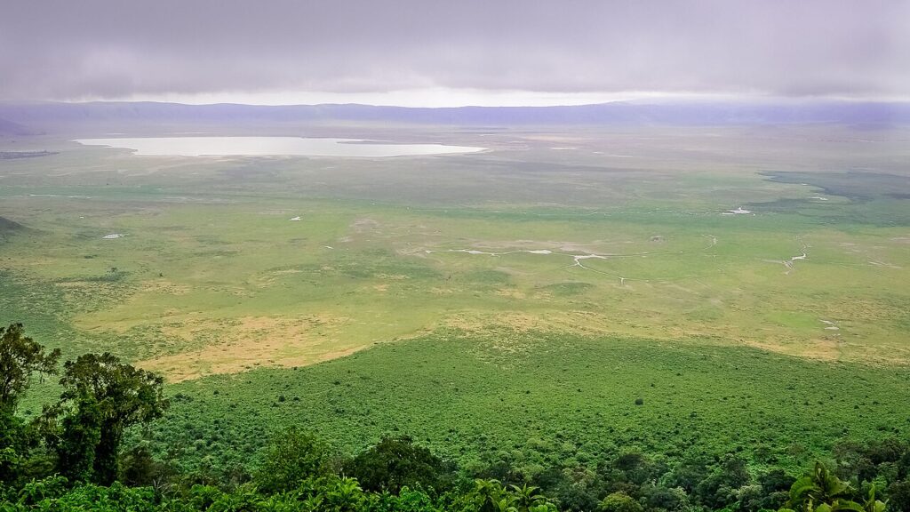 Ngorongoro Crater Guide: Africa's Garden of Eden