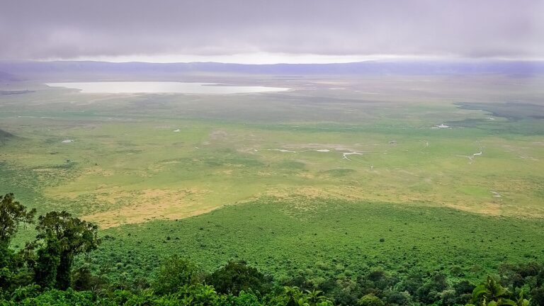 Ngorongoro Crater Guide: Africa's Garden of Eden