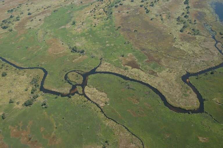 Okavango Delta Safari Guide: Mokoros, Camps and Seasons