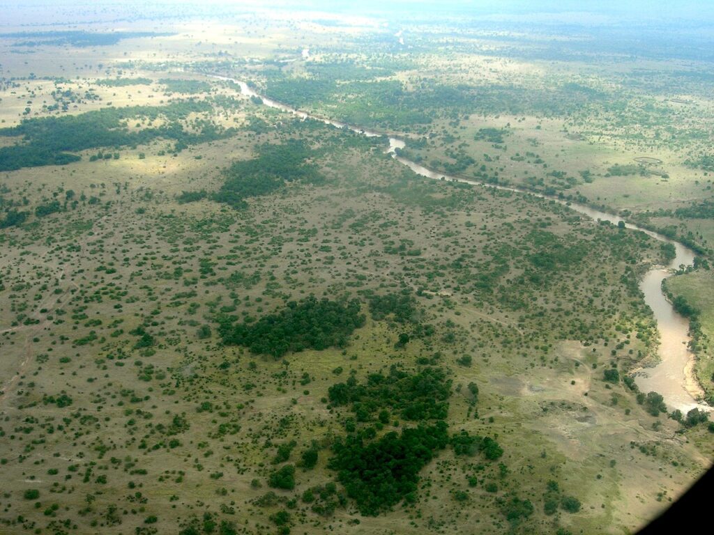 Serengeti vs Maasai Mara: Which Should You Choose?
