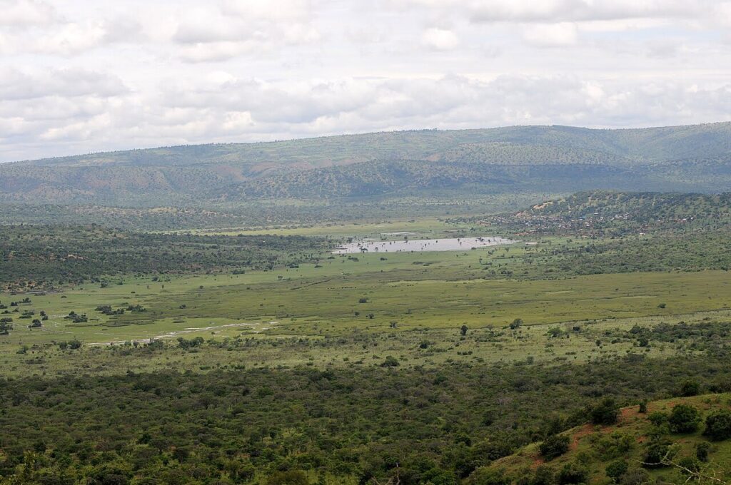 Akagera National Park: Rwanda's Big Five Comeback