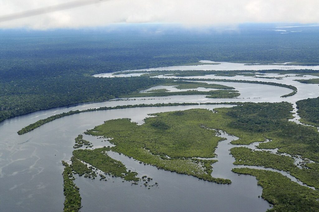 Amazon Rainforest Lodges: How to Choose