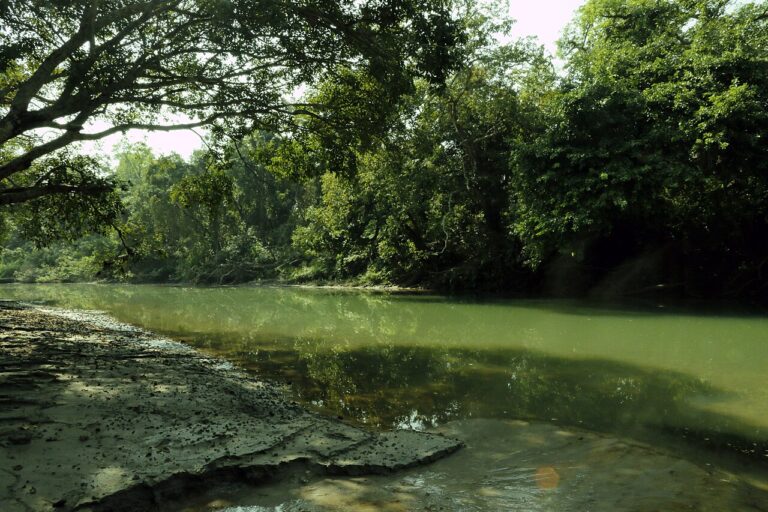 Bardiya National Park: Nepal's Wild West Tiger Country