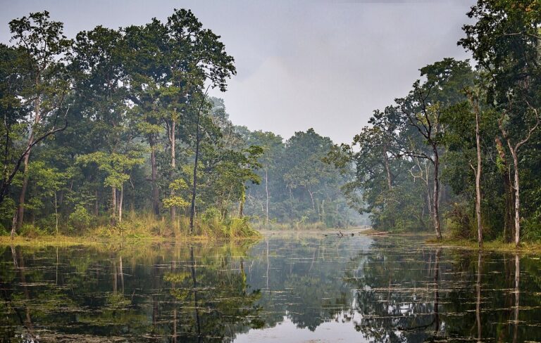 Chitwan National Park Safari Guide