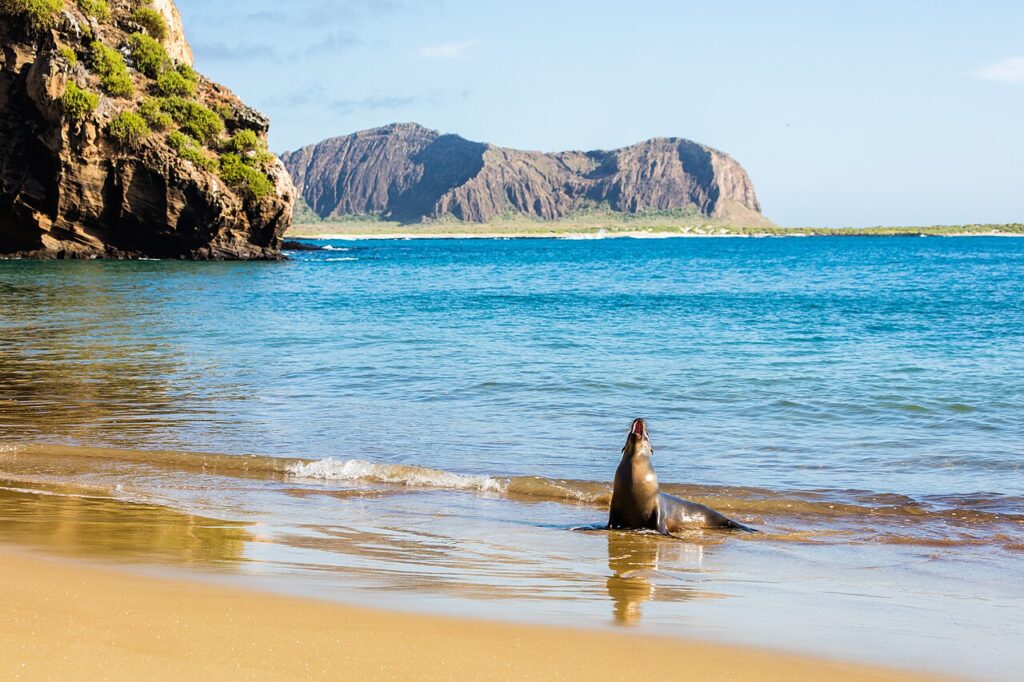 Galápagos Cruise vs Land-Based Trip: Which Is Right for You?