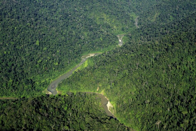 Gunung Leuser: Sumatran Orangutans and Jungle Trekking