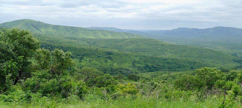 Hluhluwe-iMfolozi and iSimangaliso: Rhinos and Wetlands