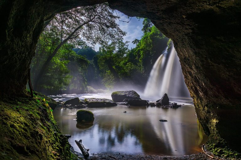 Khao Yai and Kaeng Krachan: Thailand's Wildlife Parks
