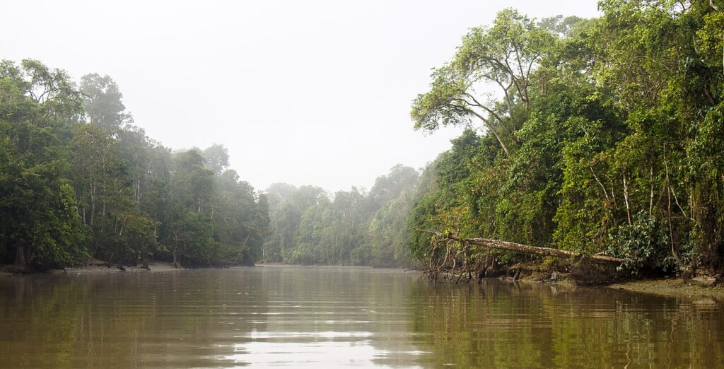 Kinabatangan River Cruise Guide