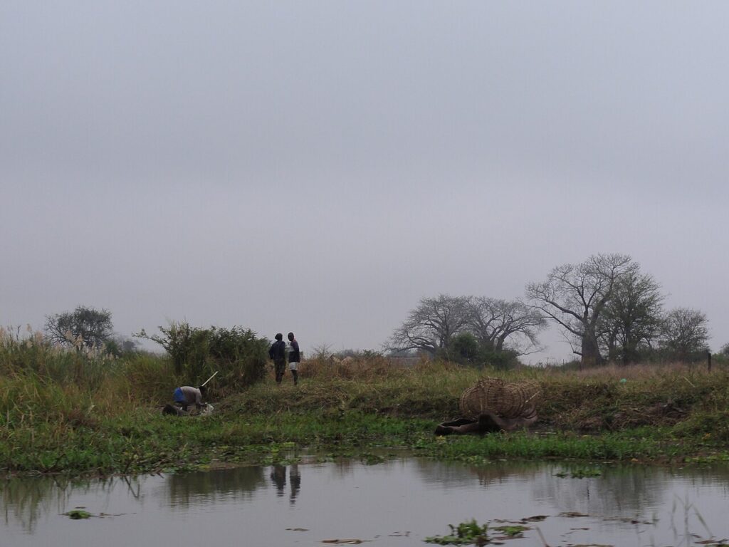 Liwonde and Majete: Malawi's Wildlife Revival
