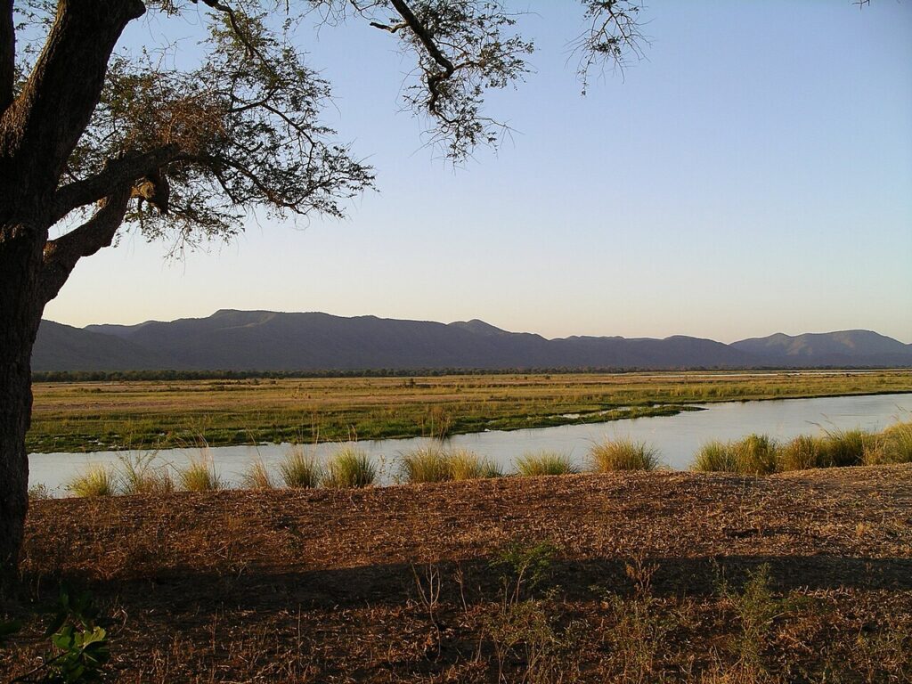 Mana Pools: Walking with Elephants on the Zambezi