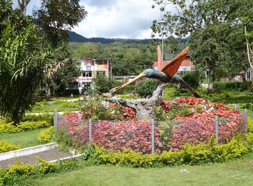 Mindo Cloud Forest Birding Guide