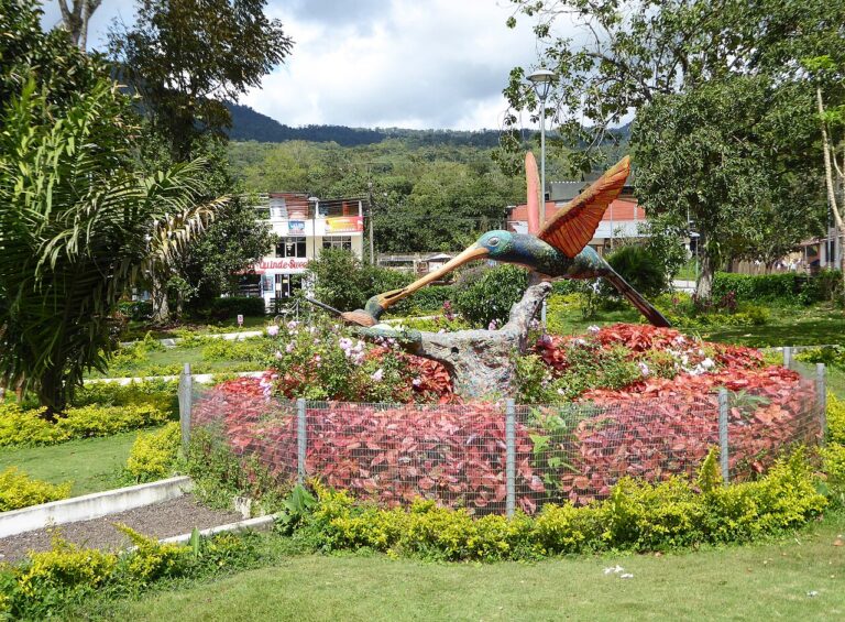 Mindo Cloud Forest Birding Guide