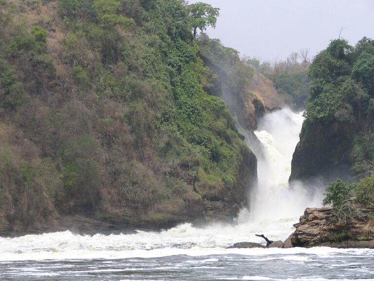 Murchison Falls National Park Guide