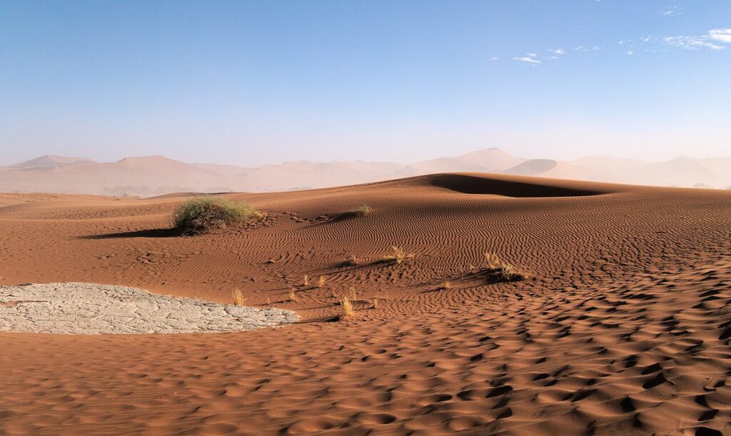 Namibia Self-Drive Wildlife Itinerary: 14 Days