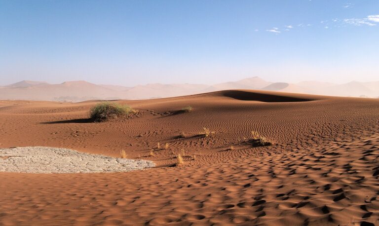 Namibia Self-Drive Wildlife Itinerary: 14 Days