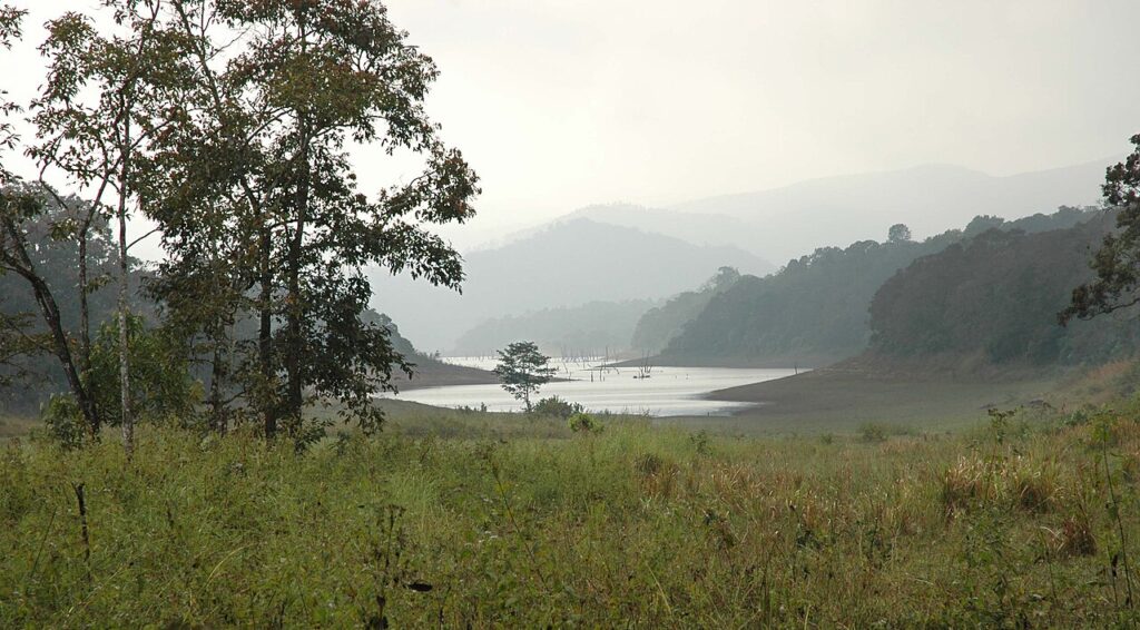 Periyar and the Western Ghats: Elephants and Endemics