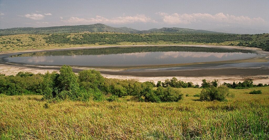 Queen Elizabeth National Park: Tree-climbing Lions and the Kazinga Channel