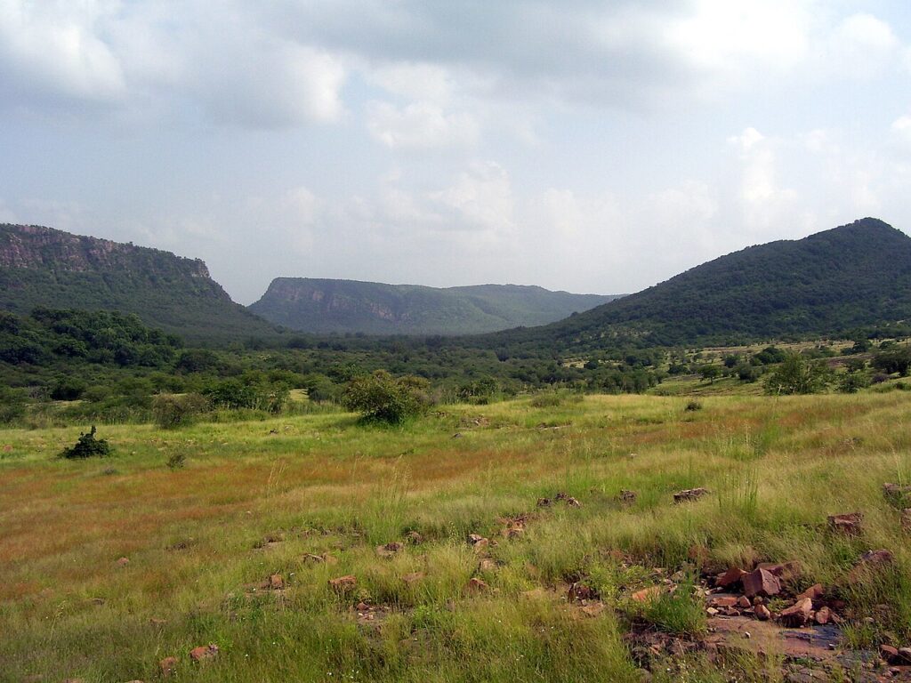 Ranthambore National Park Guide: Tigers, Zones and Safari Booking