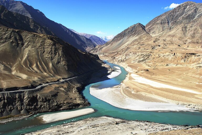 Snow Leopard Tours in Ladakh: How to See the Ghost of the Mountains