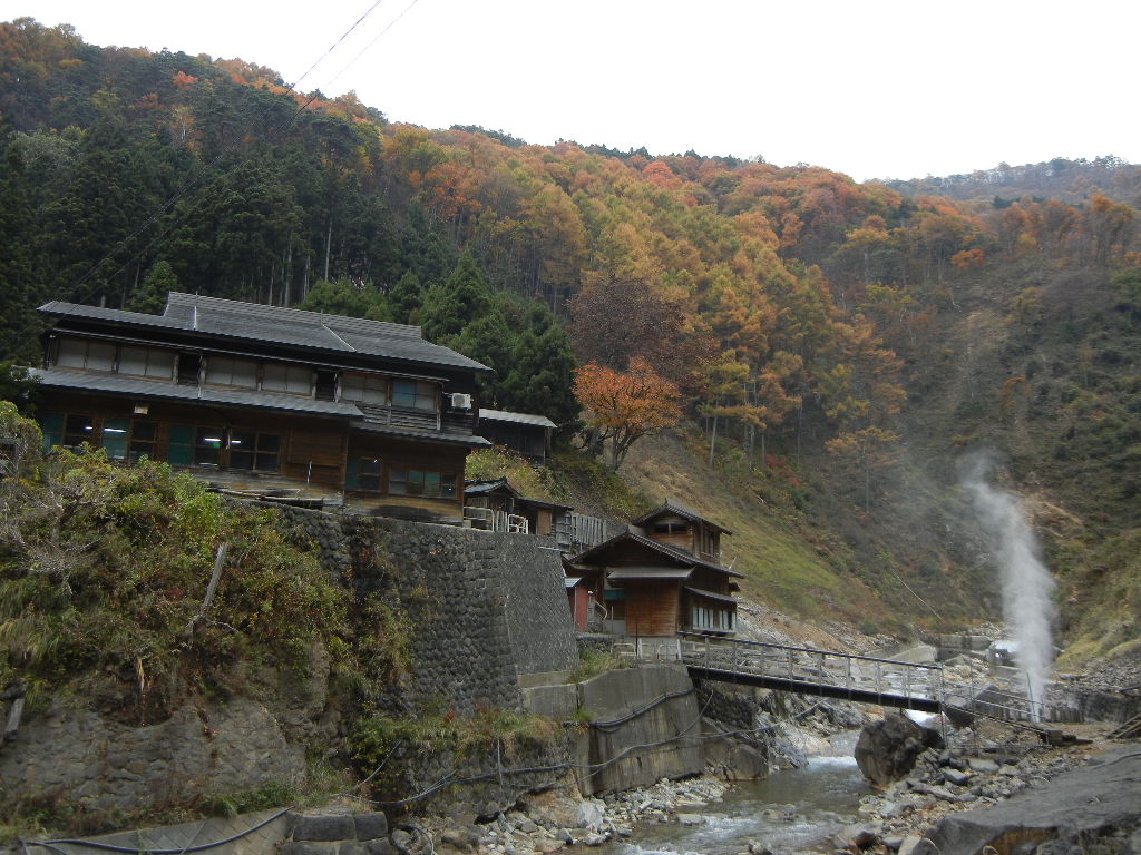 Snow Monkeys of Jigokudani and Winter Wildlife in Hokkaido