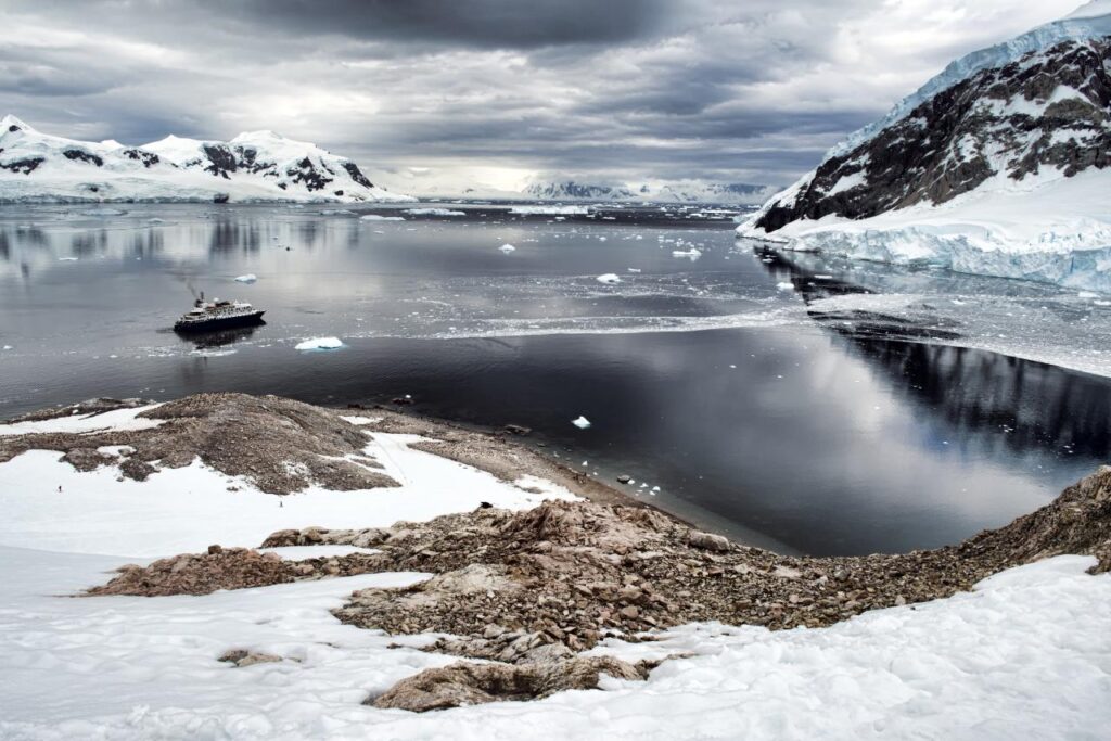 Antarctica Cruise Guide: Penguins, Whales and the Drake Passage