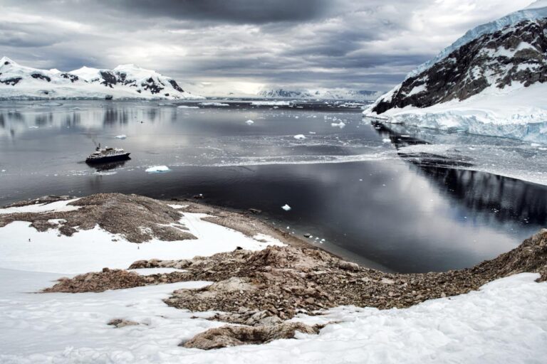 Antarctica Cruise Guide: Penguins, Whales and the Drake Passage