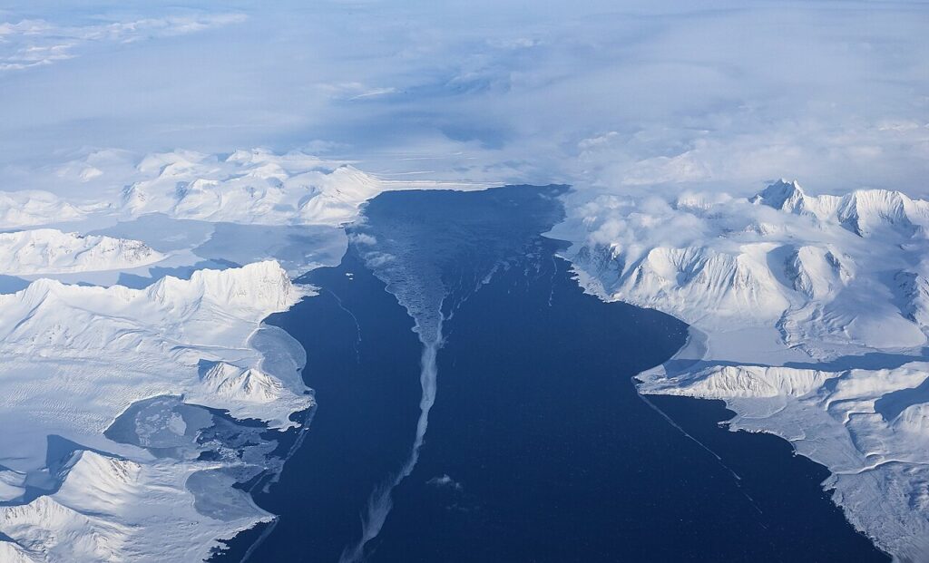 Arctic Wildlife Cruises: Svalbard, Greenland and Canada