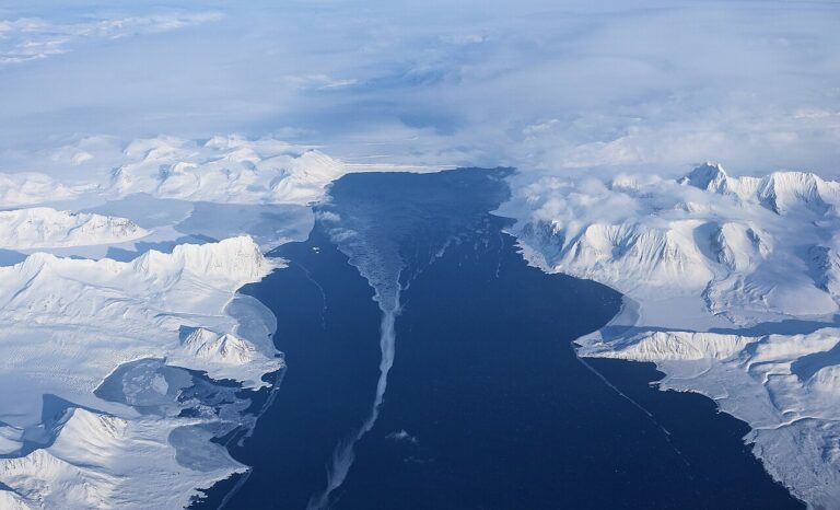 Arctic Wildlife Cruises: Svalbard, Greenland and Canada