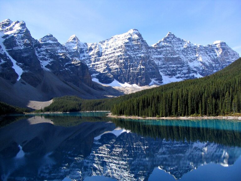 Banff and Jasper Wildlife Guide