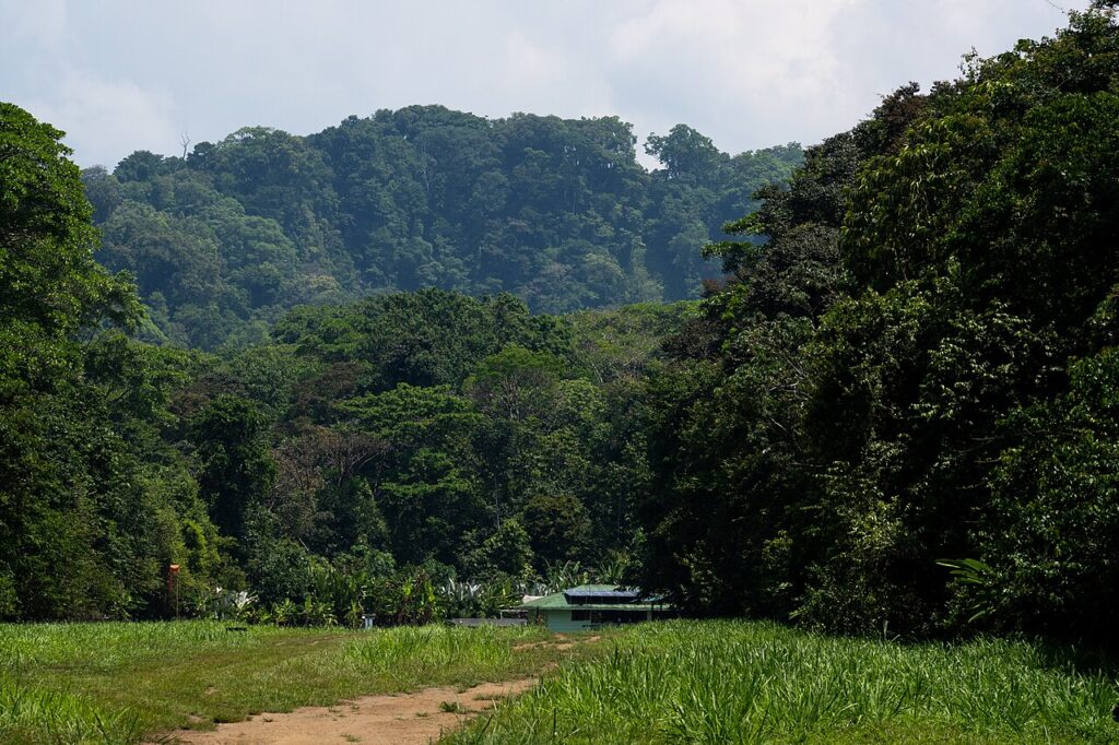 Corcovado National Park: The Most Biologically Intense Place on Earth?