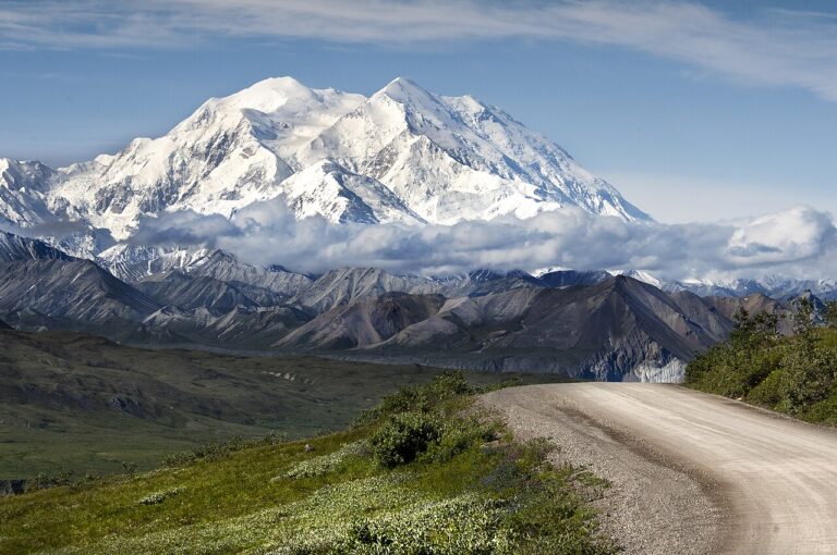 Denali National Park Wildlife Guide