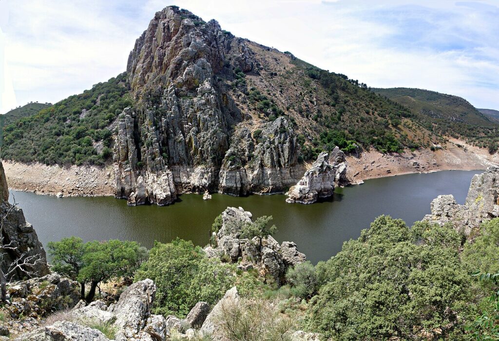 Birding in Extremadura and Monfragüe