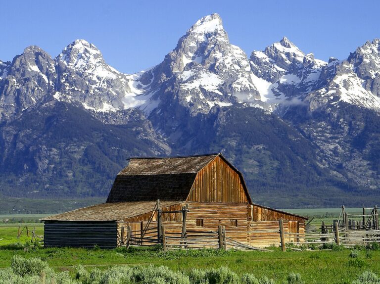 Grand Teton Wildlife Guide