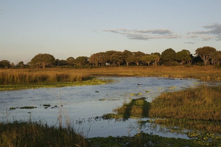 Green Season Safaris: Why Travelling in the Rains Can Be Better