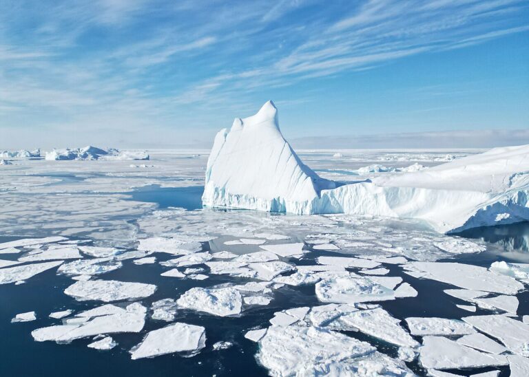 Greenland Wildlife: Musk Oxen, Whales and Icebergs