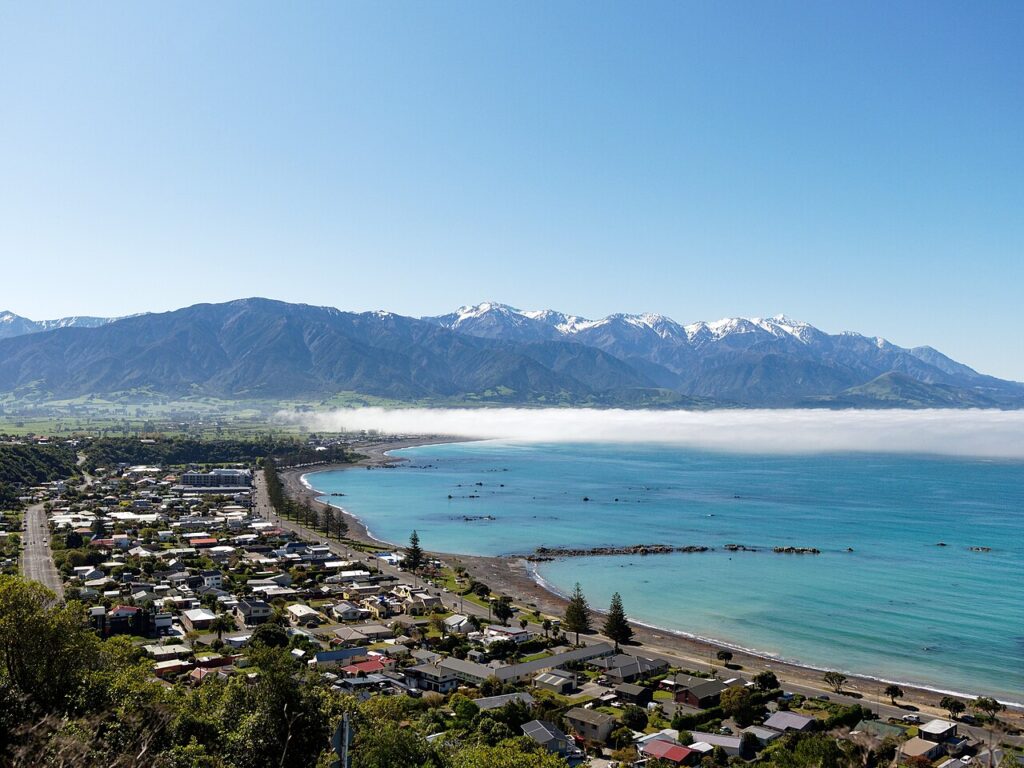 Kaikōura Whale Watching Guide