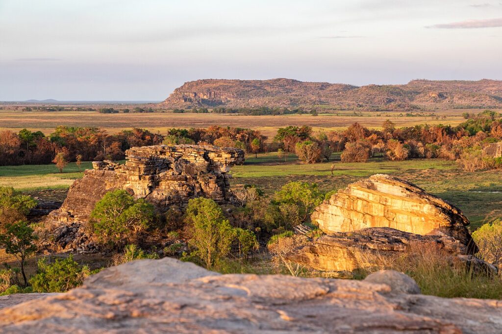 Kakadu National Park Wildlife Guide