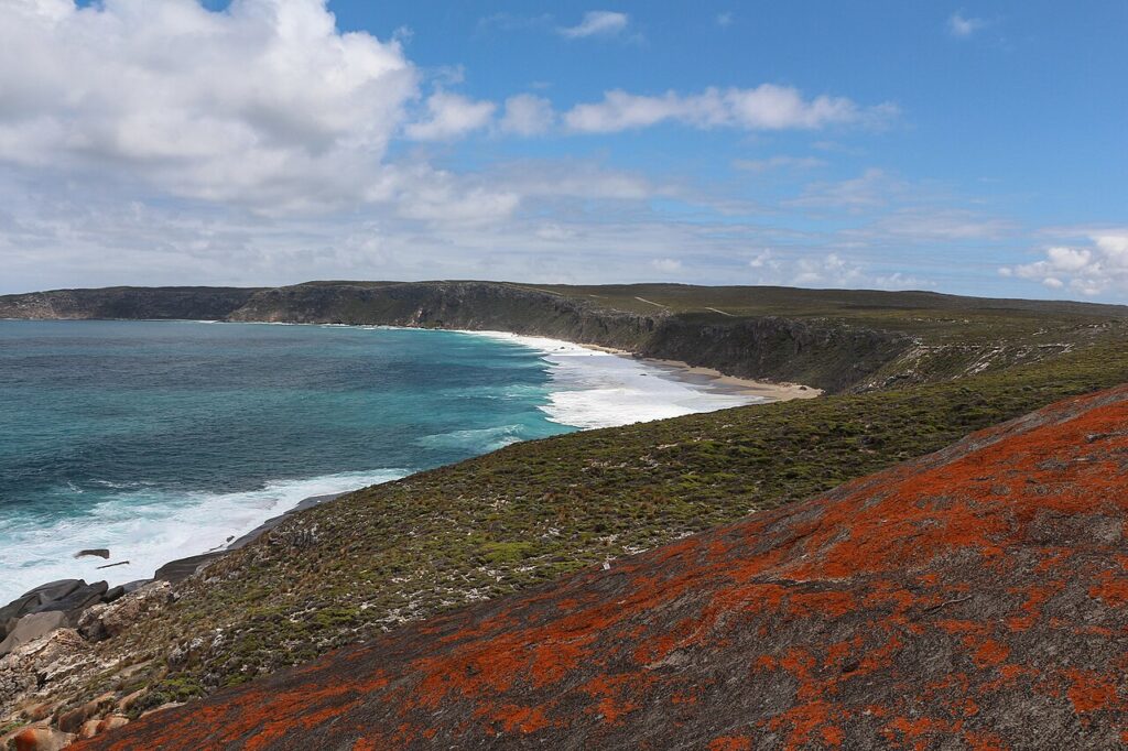 Kangaroo Island Wildlife Guide