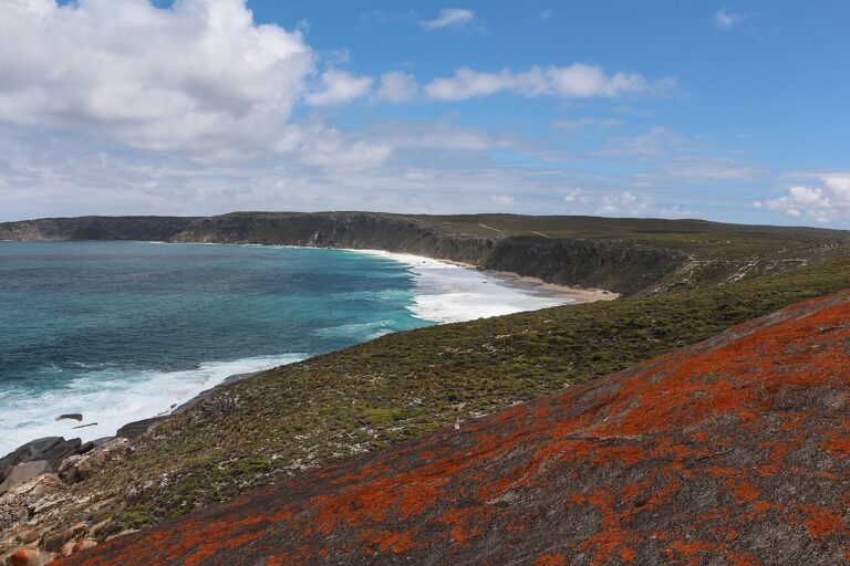 Kangaroo Island Wildlife Guide