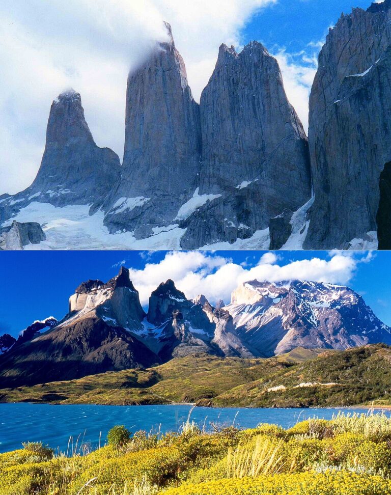 Puma Tracking in Torres del Paine