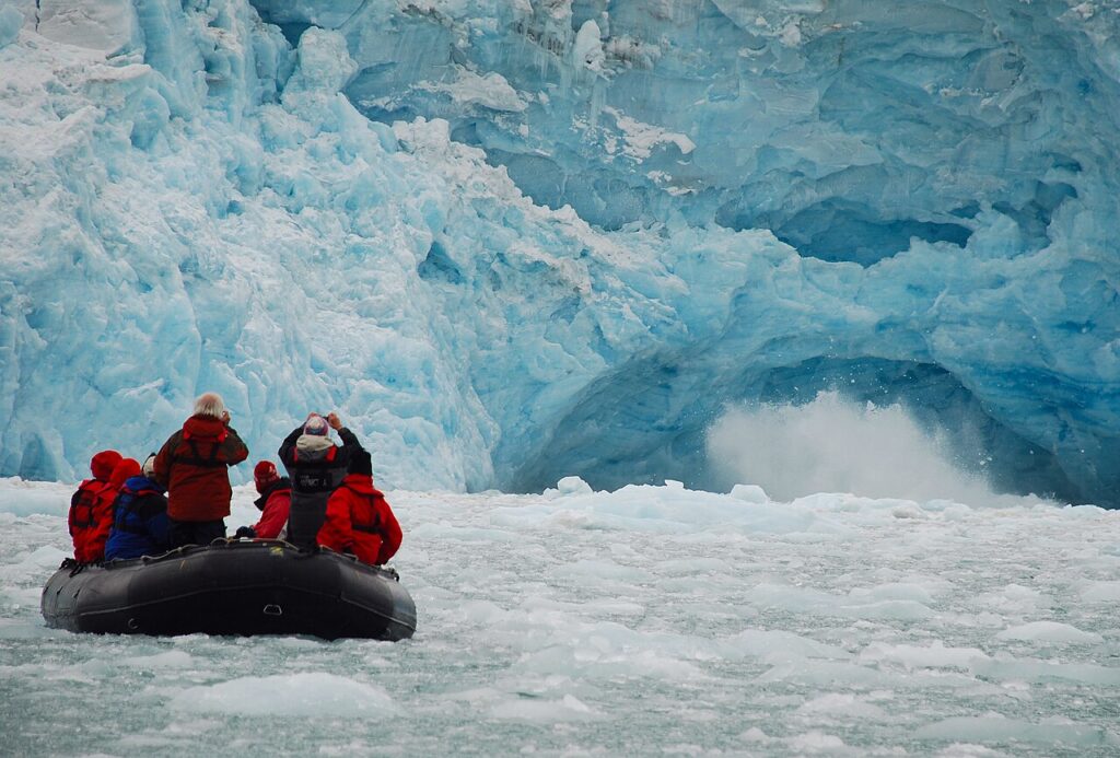 Responsible Wildlife Tourism: How to Travel Ethically