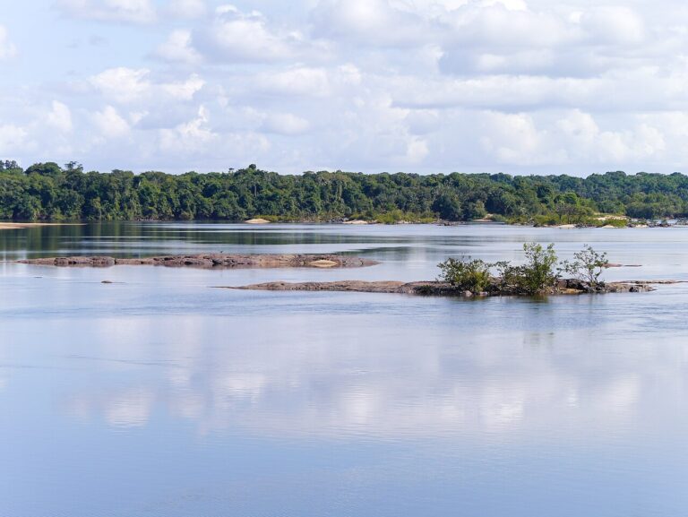 Rupununi and Iwokrama: Guyana's Wild Interior