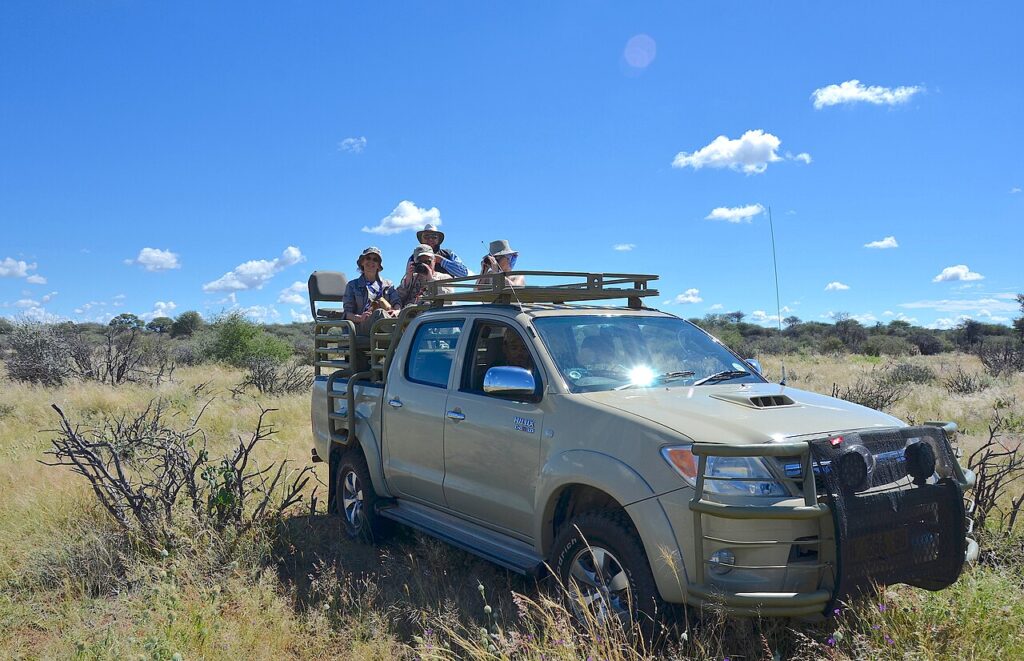 Safari Etiquette: How to Behave at Sightings