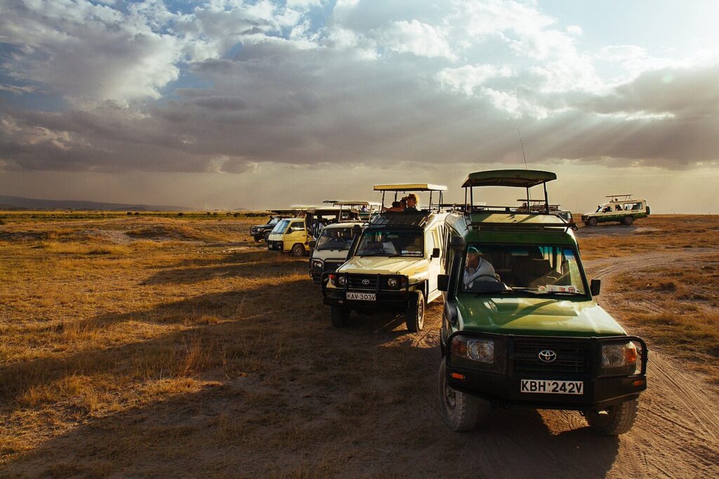The Ultimate Safari Packing List