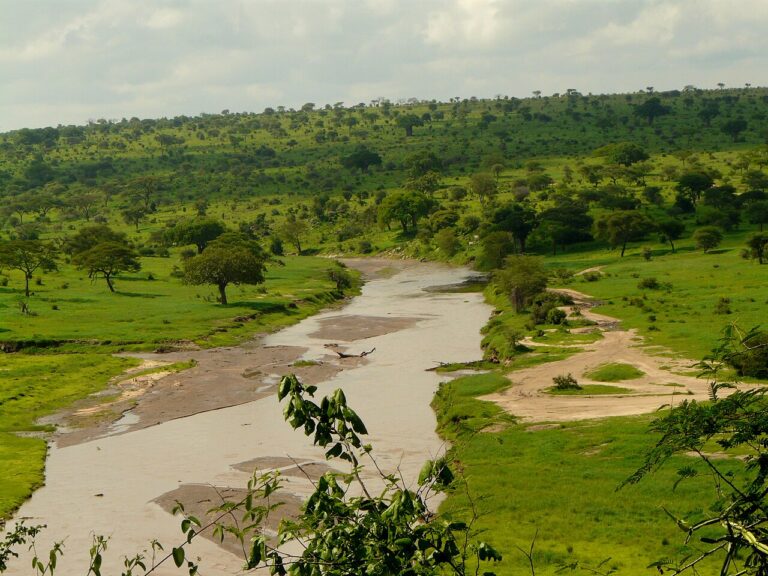 Solo Travel on Safari: How to Save and Stay Safe