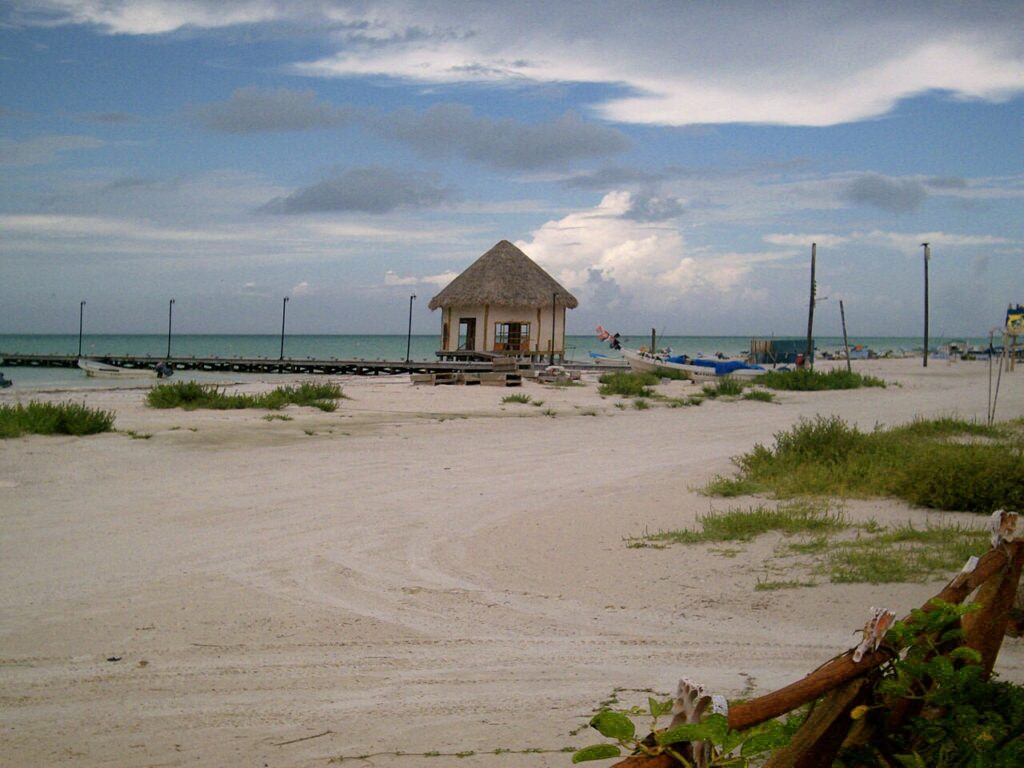 Swimming with Whale Sharks in Holbox and Isla Mujeres