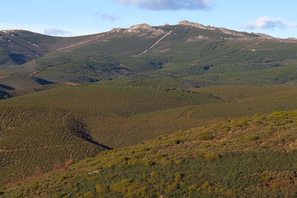 Wolf Watching in Spain's Sierra de la Culebra