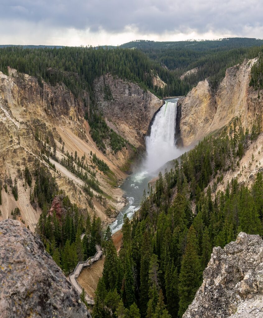 Yellowstone Wildlife Guide: Wolves, Bears and Bison